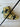*NEW* Scotty Cameron Custom SS Newport 24K Gold Plated 34in Putter- Black Paint