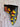 *NEW* Scotty Cameron Gallery Japan Black/Golden Orange Dancing Dog Headcover