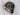 TaylorMade Qi35 LS 9* Driver Head