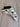 *NEW* Scotty Cameron Gallery Japan White Dancing Dog Blade Putter Headcover