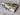 *NEW* SSG Deion Sanders "Prime Time" HOF 2011 Gold Blade Headcover