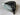 TaylorMade Qi10 Tour Issue 10.5* Dot Driver Head