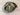 Titleist 915FD 15* 3W Fairway Head