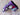 *NEW* Scotty Cameron Circle T Purple Baller Boy Blade Headcover