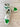 Nike Air Jordan 1 Retro High PIne Green & White Masters- Men's Size 10 Shoes