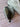 *NEW* TaylorMade Qi35 LS 9* Driver Head