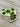 Scotty Cameron Custom Shop White Cash is King Mid Mallet Putter Headcover