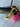 *NEW* Scotty Cameron Custom SS Newport 24K Gold Plated 35in Putter- Black