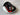 *PRISTINE* TaylorMade M5 Tour Issue 9* + Driver Head