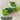 *NEW* Scotty Cameron Custom Shop Lime Green Dirty Rat Blade Headcover