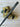 *NEW* Scotty Cameron Custom SS Newport 24K Gold Plated 34in Putter- Black Paint
