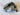 *NEW* Cobra OPTM 2026 MAX-K 10.5* Driver Head
