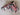 *NEW* SSG Snow Camo/Pink Sugar Skull Blade Headcover