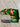 *NEW* Scotty Cameron 2015 Masters Peaches & Pins Blade Putter Headcover