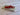 *NEW*Scotty Cameron Circle T Tour Use Only Red Roller Pivot Tool