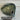 *NEW* TaylorMade Qi4D Core 10.5* No Headcover Driver Head
