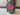 *NEW* Scotty Cameron Circle T Gallery Camo Youth Pathfinder Stand Bag- Pink Tour